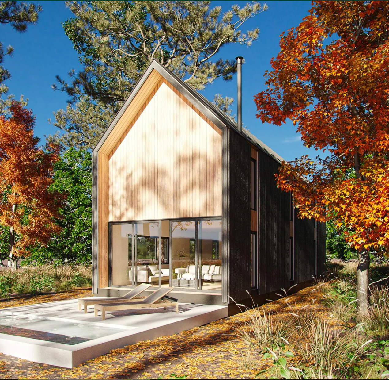 The investor cabin